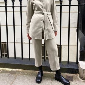 Aritzia The Group by Babaton Jimmy Pant - basil